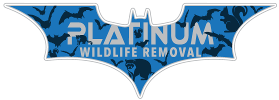 Porter County Wildlife Removal
