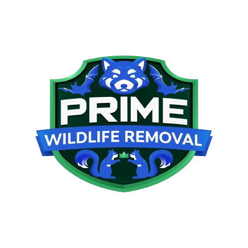 Porter County Wildlife Removal